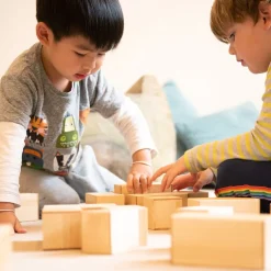 TTS Wooden Magnetic Construction Blocks