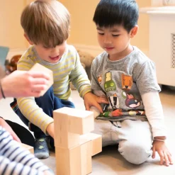 TTS Wooden Magnetic Construction Blocks
