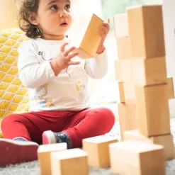 TTS Wooden Magnetic Construction Blocks