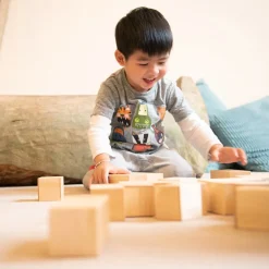TTS Wooden Magnetic Construction Blocks
