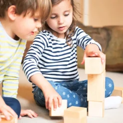 TTS Wooden Magnetic Construction Blocks