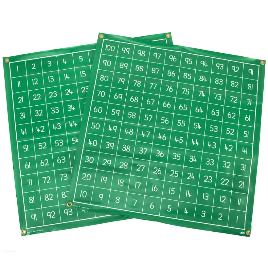 TTS Write on Vinyl Hundred Squares 1-100 Ascending