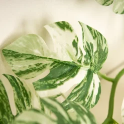 Variegated Monstera Plant Garland 190cm