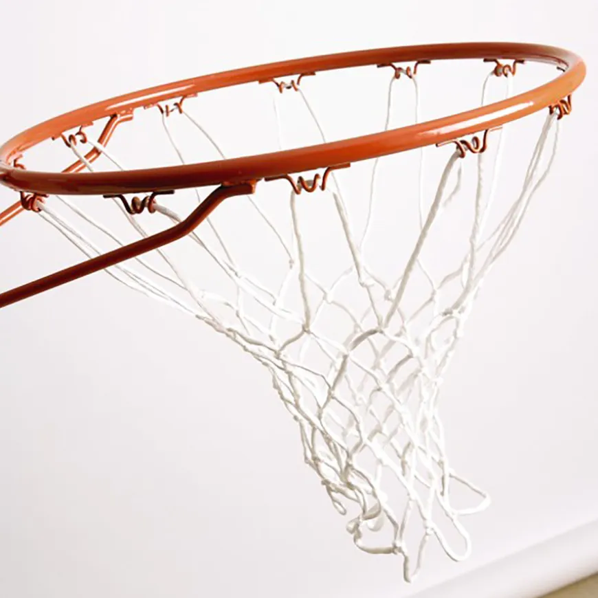 Wall Mounted Basketball Hoop and Net
