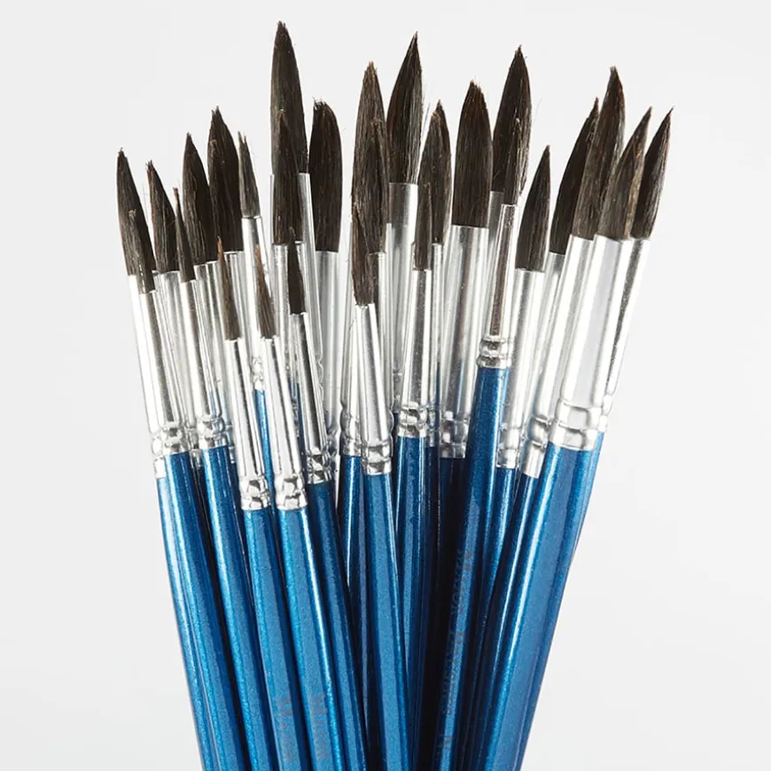 Watercolour Paint Brushes Assorted 30pk