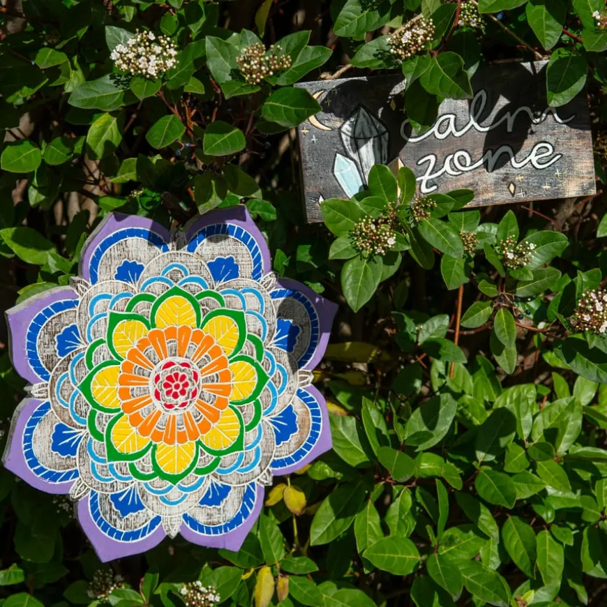Wellbeing and Calmness Pack with Notes