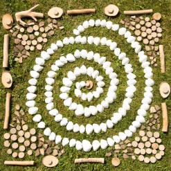 White Seashells 2.5l