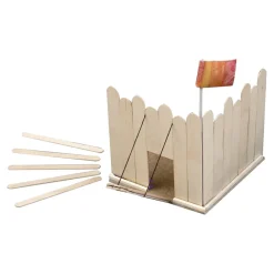 Wooden Craft Sticks 1000pk Multicoloured