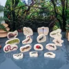 Wooden Minibeast Blocks