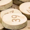 Wooden 1-100 Number Pieces