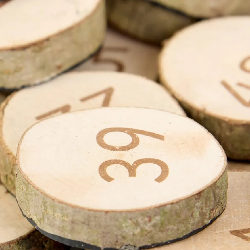 Wooden 1-100 Number Pieces