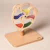 Wooden Rotating Bead Wheel