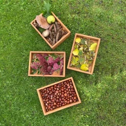 Wooden Sorting Boxes 6pk