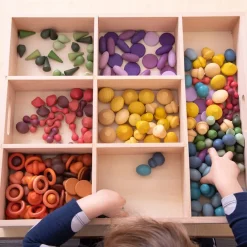 Wooden Sorting Tray