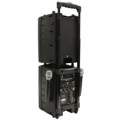 50W Portable Karaoke PA