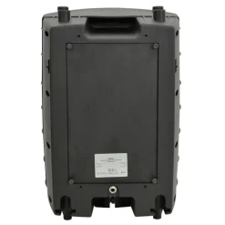 50W Portable Karaoke PA