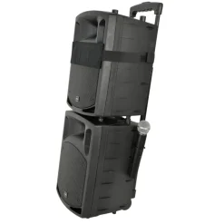 50W Portable Karaoke PA